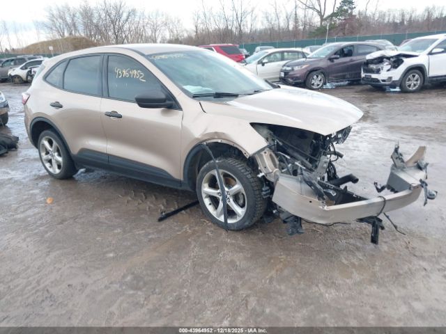 2020 FORD ESCAPE 1FMCU0F65LUB62891