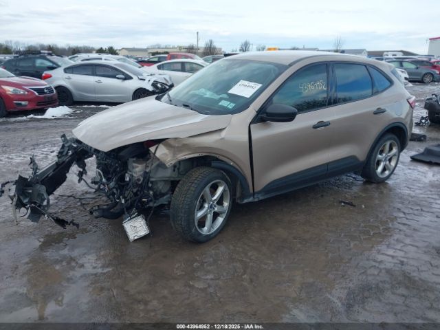 2020 FORD ESCAPE 1FMCU0F65LUB62891 Photo 1