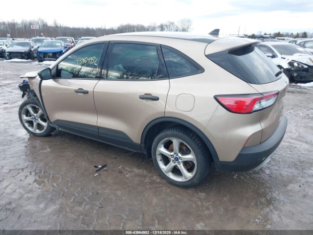 2020 FORD ESCAPE 1FMCU0F65LUB62891 Photo 2