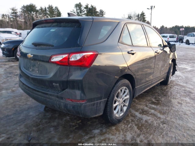 Chevrolet EQUINOX LS 2019 2GNAXSEV0K6268709 Image 4