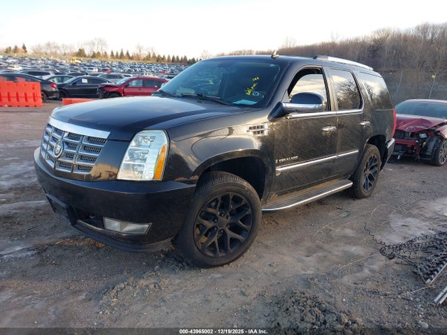 2009 CADILLAC ESCALADE 1GYFK13249R246494 Photo 1