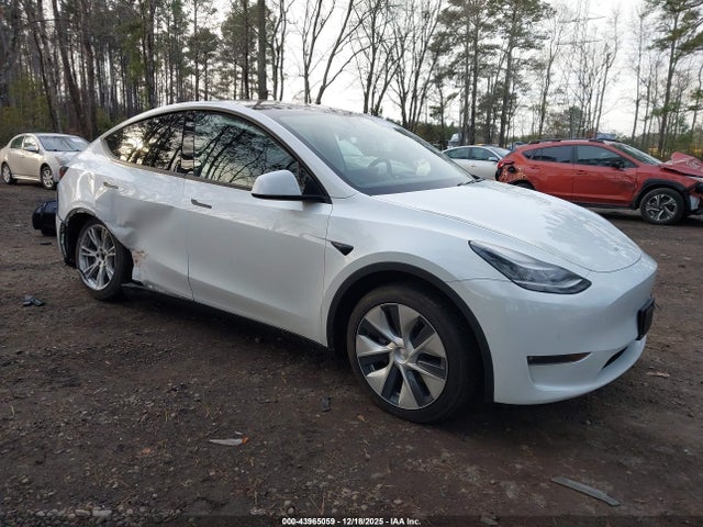 2020 TESLA MODEL Y 5YJYGDEEXLF024922 Photo 0