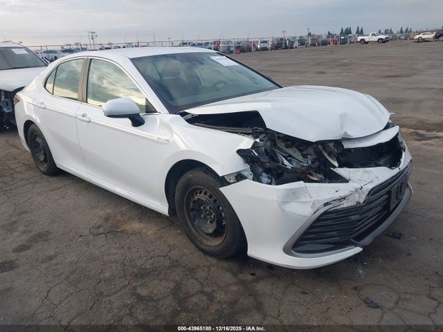 Toyota Camry Le Hybrid 2021 4T1C31AK8MU025362 главное изображение