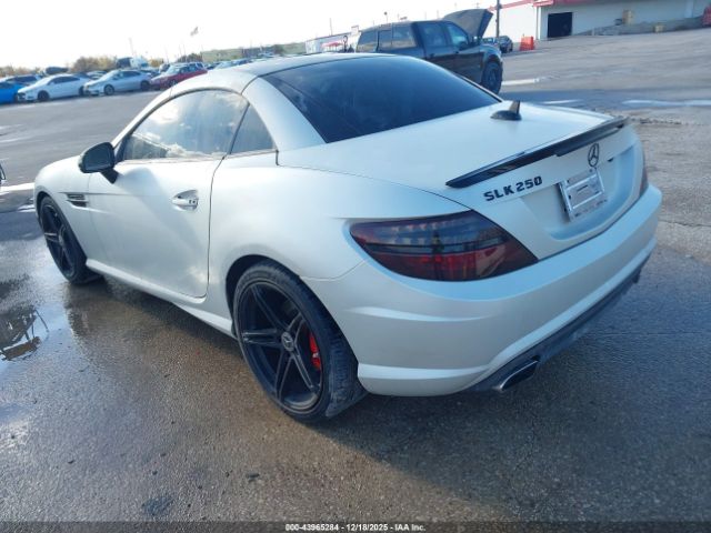 2014 MERCEDES-BENZ SLK 250 WDDPK4HA9EF076436 Photo 2