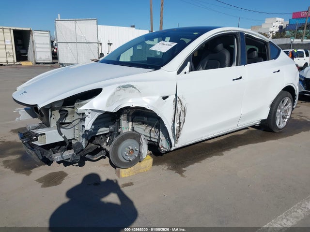 2023 TESLA MODEL Y 7SAYGDEE2PA123417 Photo 1