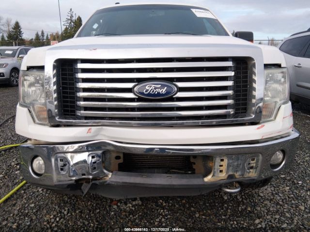 2012 FORD F-150 1FTFW1ET8CFA30365 Photo 5