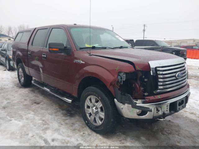 2010 FORD F-150 1FTFW1EVXAFD25840