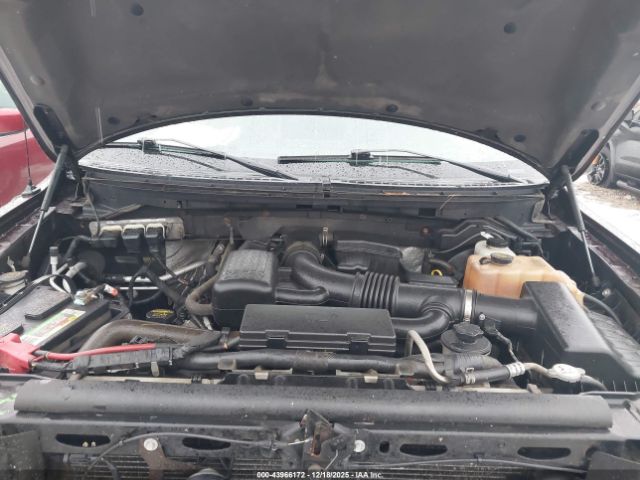 2010 FORD F-150 1FTFW1EVXAFD25840 Photo 9