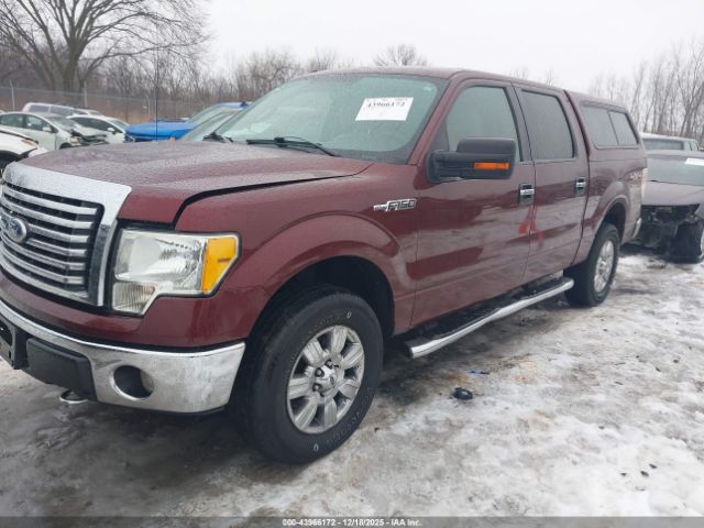 2010 FORD F-150 1FTFW1EVXAFD25840 Photo 1