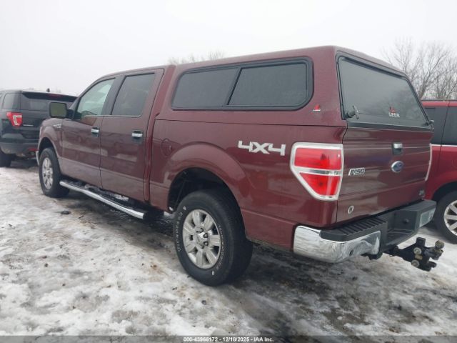 2010 FORD F-150 1FTFW1EVXAFD25840 Photo 2