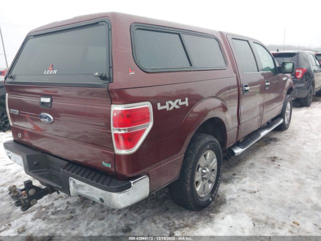 2010 FORD F-150 1FTFW1EVXAFD25840 Photo 3
