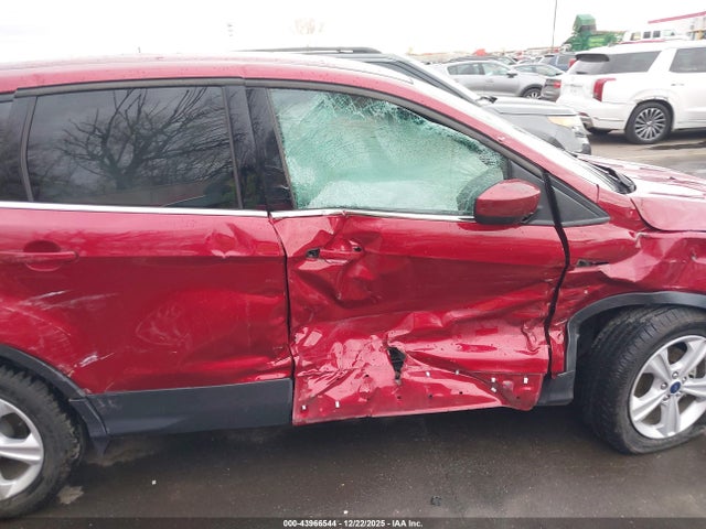 Ford ESCAPE SE 2016 1FMCU0G79GUB84504 Image 17