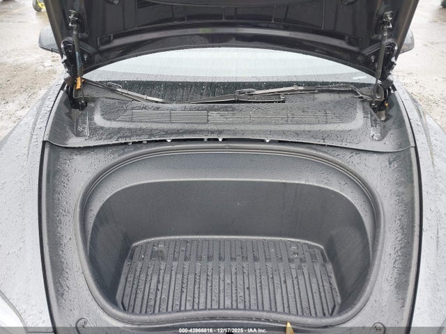 2025 TESLA MODEL 3 5YJ3E1EA1SF039495 Photo 9