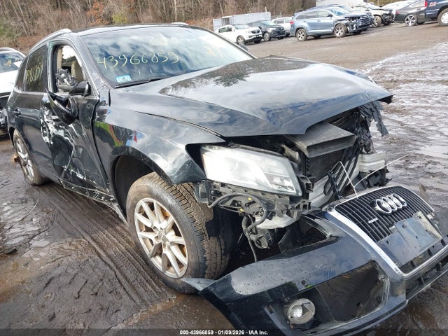 2009 AUDI Q5 WA1KK78R19A025814 Photo 0