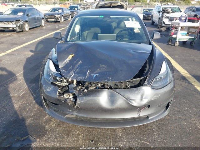 2023 Tesla Model 3 Rear-wheel Drive მანქანა იყიდება აუქციონზე, vin: 5YJ3E1EA8PF395322, აუქციონის ნომერი: 43967389