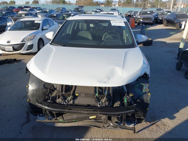 WA1LUBFZ4RP057285 Audi Q4 E-tron Premium Plus 55 Quattro
