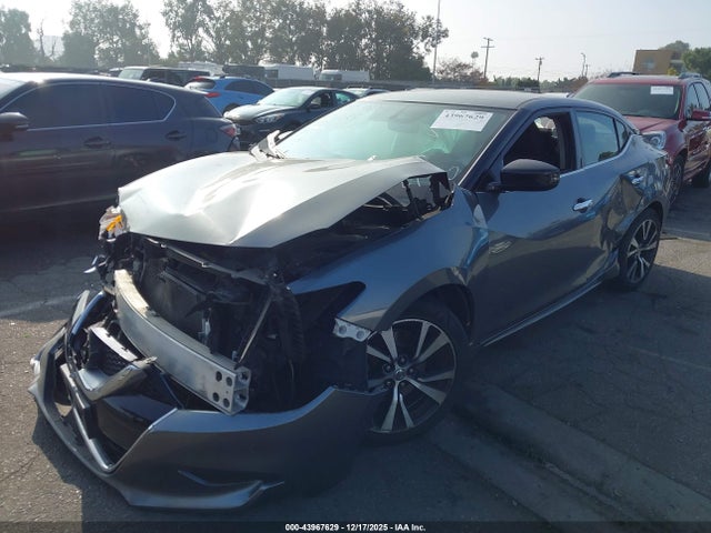 1N4AA6AP6GC424426 Nissan Maxima 3.5 Platinum/3.5 S/3.5 Sl/3.5 Sr/3.5 Sv