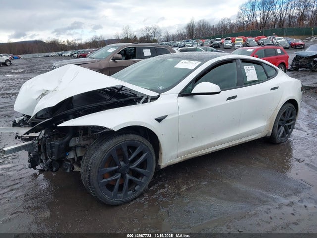 43967723 :رقم المزاد ، 5YJSA1E50PF501868 vin ، 2023 Tesla Model S Dual Motor All-wheel Drive/standard Range مزاد بيع