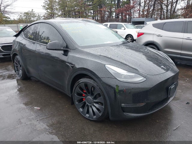 2023 TESLA MODEL Y 7SAYGDEFXPF766593 Photo 0