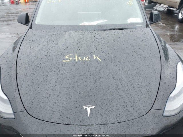 2023 TESLA MODEL Y 7SAYGDEFXPF766593 Photo 9