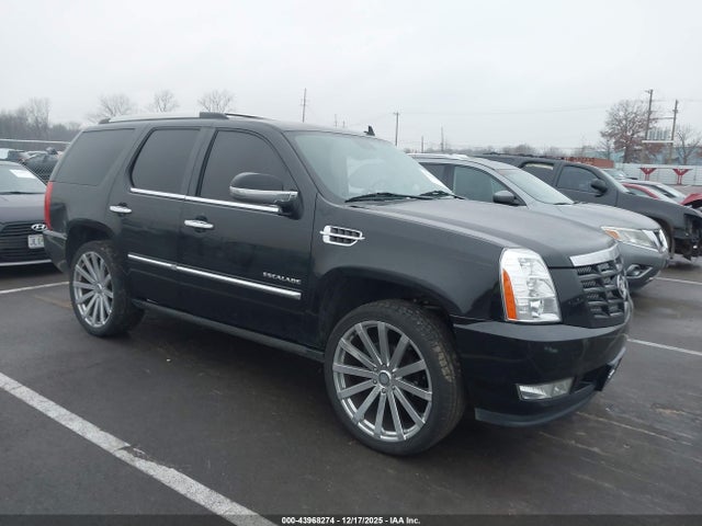 2011 CADILLAC ESCALADE 1GYS3CEF2BR137917 Photo 0