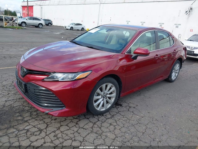 4T1B11HK9KU832879 Toyota CAMRY LE