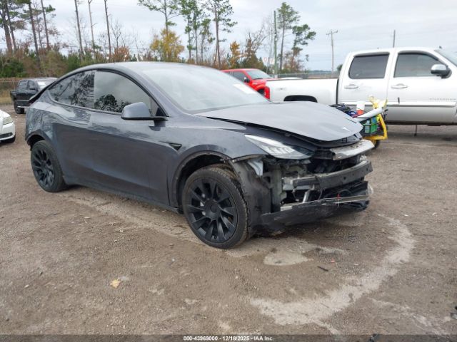 2021 TESLA MODEL Y 5YJYGDEE4MF080629