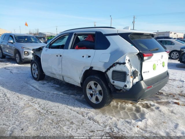 2019 TOYOTA RAV4 2T3W1RFV1KW012834 Photo 2