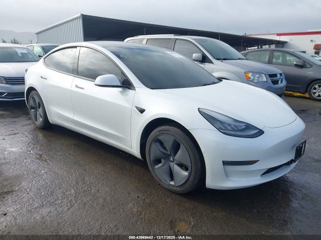 2020 TESLA MODEL 3 5YJ3E1EB0LF711377 Photo 0