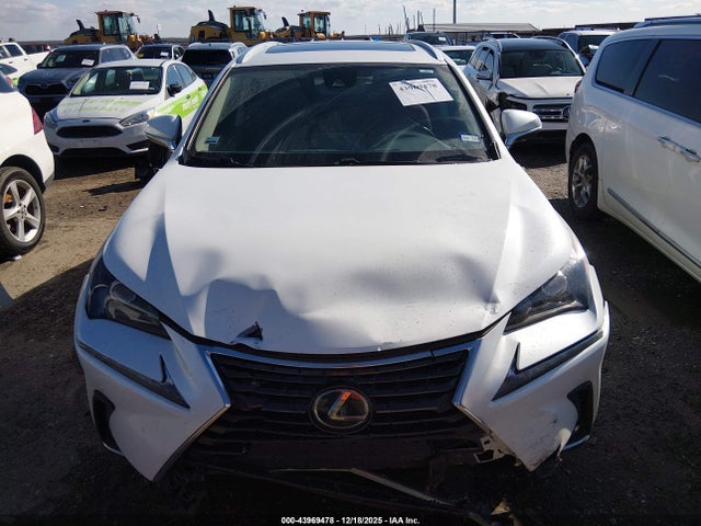 2021 Lexus Nx 300 მანქანა იყიდება აუქციონზე, vin: JTJDARBZ1M5029544, აუქციონის ნომერი: 43969478