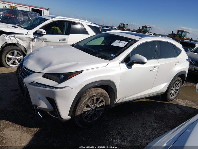 2021 Lexus Nx 300 მანქანა იყიდება აუქციონზე, vin: JTJDARBZ1M5029544, აუქციონის ნომერი: 43969478