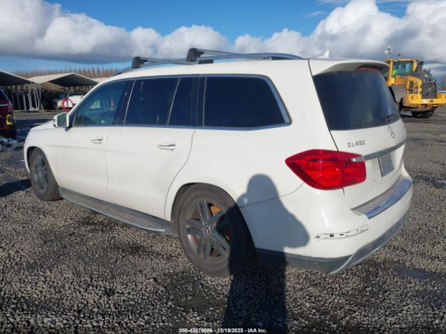 2013 MERCEDES-BENZ GL 450 4JGDF7CE9DA204257 Photo 2
