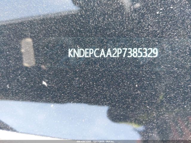 2023 KIA SELTOS KNDEPCAA2P7385329 Photo 8