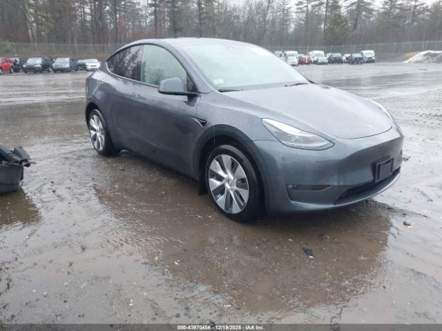 2023 TESLA MODEL Y 7SAYGDEE4PF763258