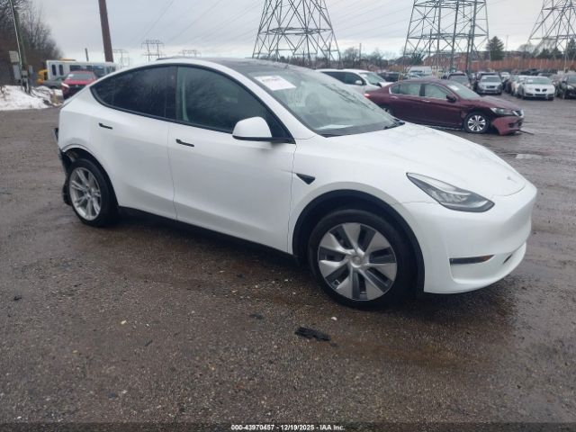 2023 TESLA MODEL Y 7SAYGDEE7PA081830