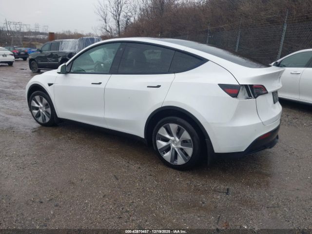 2023 TESLA MODEL Y 7SAYGDEE7PA081830 Photo 2