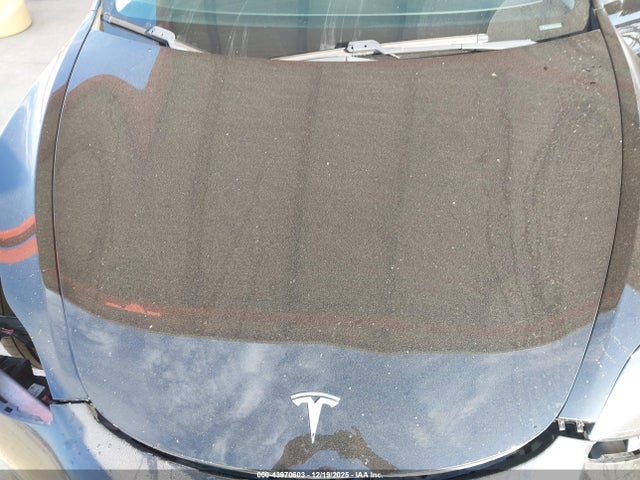 2021 TESLA MODEL 3 5YJ3E1EC1MF981101 Photo 9