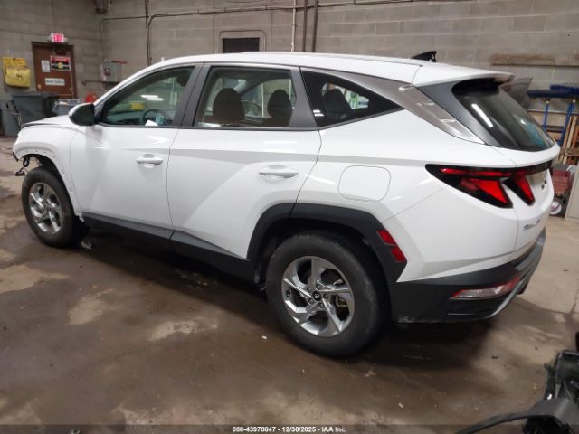2024 HYUNDAI TUCSON 5NMJACDE1RH434420 Photo 2