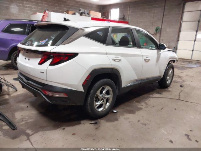 2024 HYUNDAI TUCSON 5NMJACDE1RH434420 Photo 3