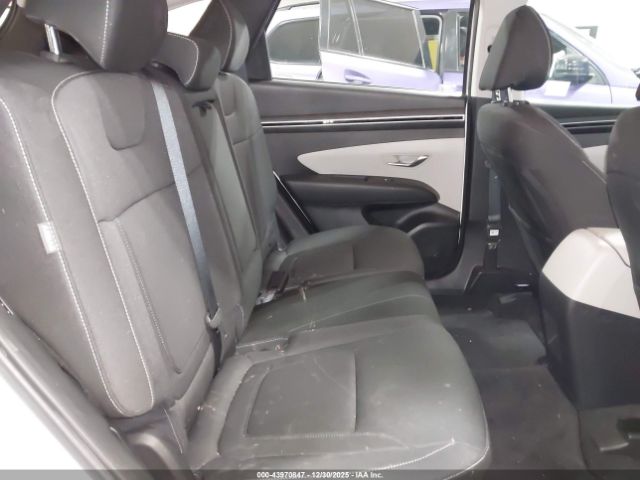 2024 HYUNDAI TUCSON 5NMJACDE1RH434420 Photo 7
