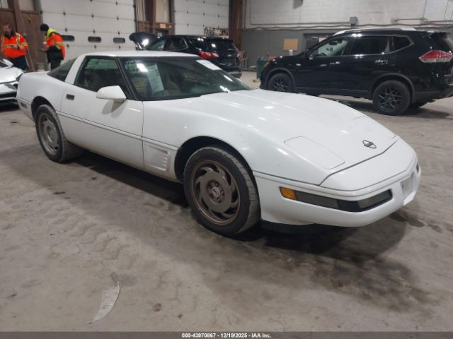 1995 CHEVROLET CORVETTE 1G1YY22P7S5116943