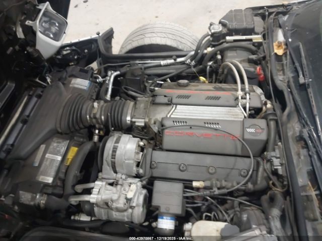 1995 CHEVROLET CORVETTE 1G1YY22P7S5116943 Photo 9