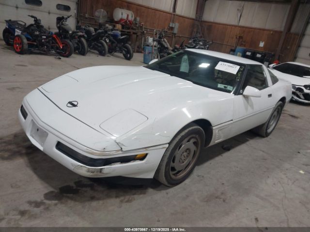 1995 CHEVROLET CORVETTE 1G1YY22P7S5116943 Photo 1