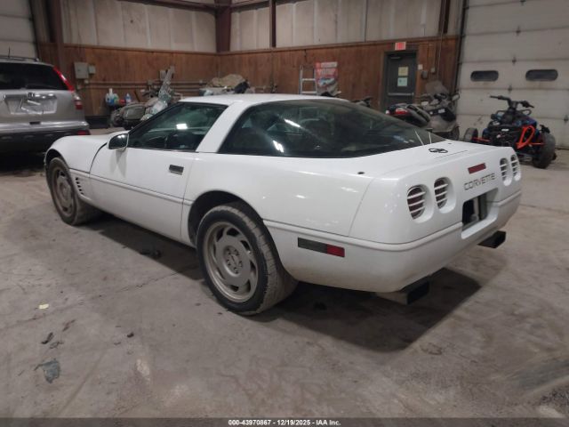 1995 CHEVROLET CORVETTE 1G1YY22P7S5116943 Photo 2