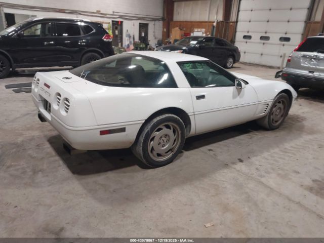 1995 CHEVROLET CORVETTE 1G1YY22P7S5116943 Photo 3