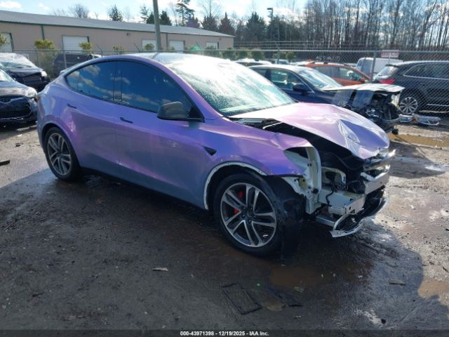 2023 TESLA MODEL Y 7SAYGDEF1PF948232