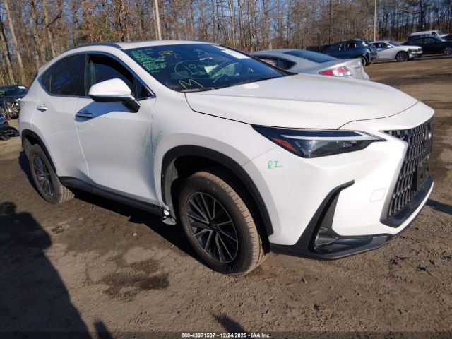 2024 LEXUS NX 250 JTJADCAZ4R2008446