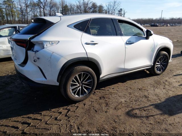 2024 LEXUS NX 250 JTJADCAZ4R2008446 Photo 3
