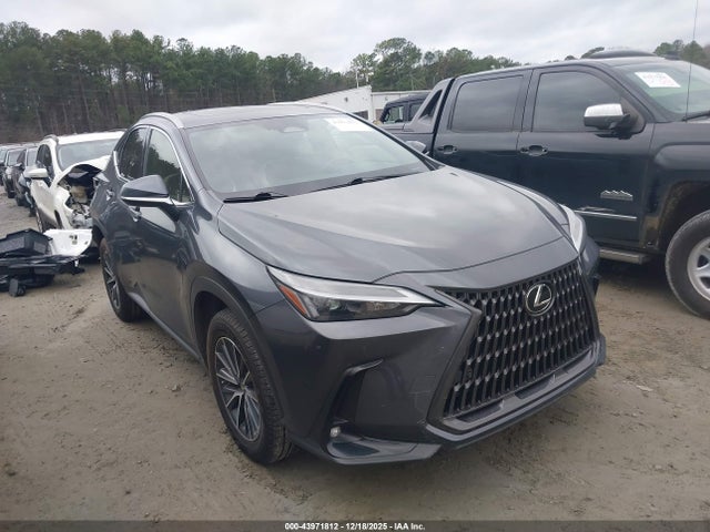 2023 LEXUS NX 250 JTJGDCAZ0P5013410