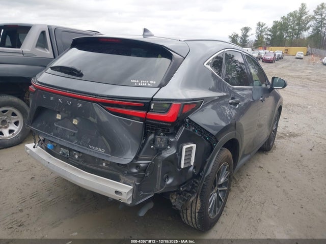 2023 LEXUS NX 250 JTJGDCAZ0P5013410 Photo 3
